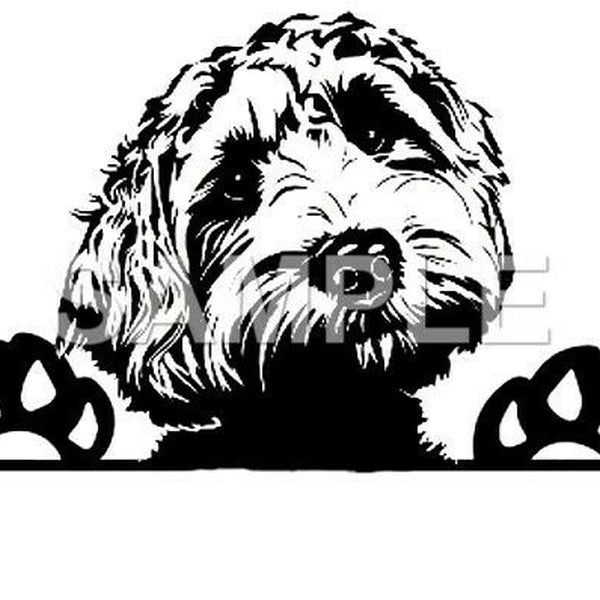 2PCS Details about Labradoodle Vinyl Decal Car Truck Window Sticker