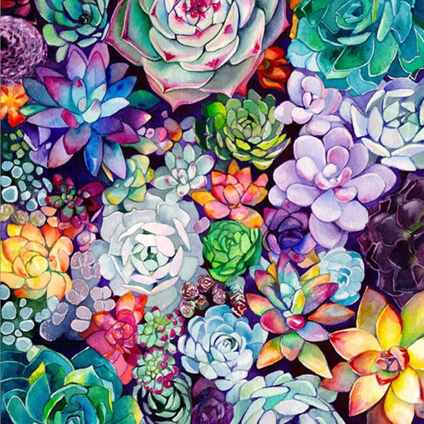 Colorful Succulents DIY 5D Diamond Painting Full Drill with Number Kits Home and Kitchen Fashion Crystal Rhinestone Cross Stitch Embroidery Paintings