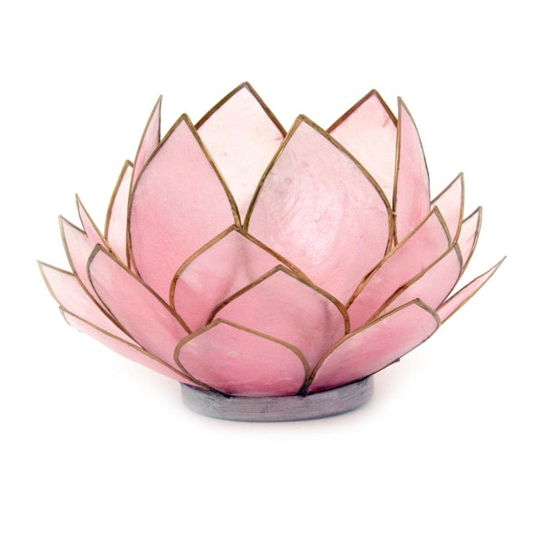 Light Pink Capiz Shell Opening Lotus Flower Bulb Tealight Candle Holder