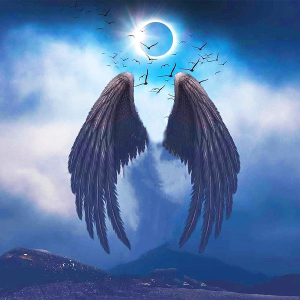 DIY 5D Diamond Painting Wing Full Drill With Number Kits Home Decor Wall Painting The Gift Arts and Crafts For Adults,Teenagers,The Old