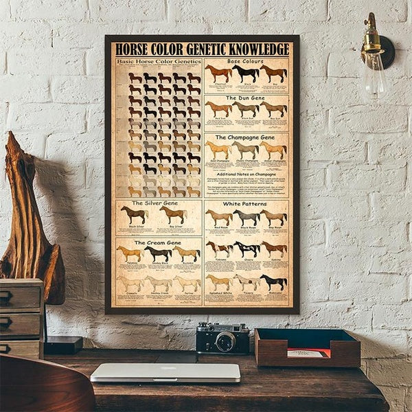 Horse Color Genetic Knowledge Poster Prints Horse Lover Gift Vintage Cowboy Wall Art Canvas Painting Farmhouse Wall Decoration No Frame