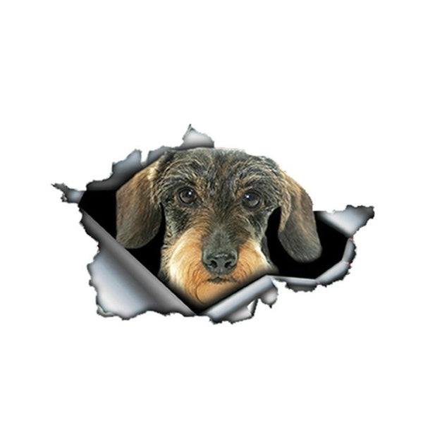 13cmx8cm Wire Haired Dachshund Car Decal Torn Metal Waterproof Sticker