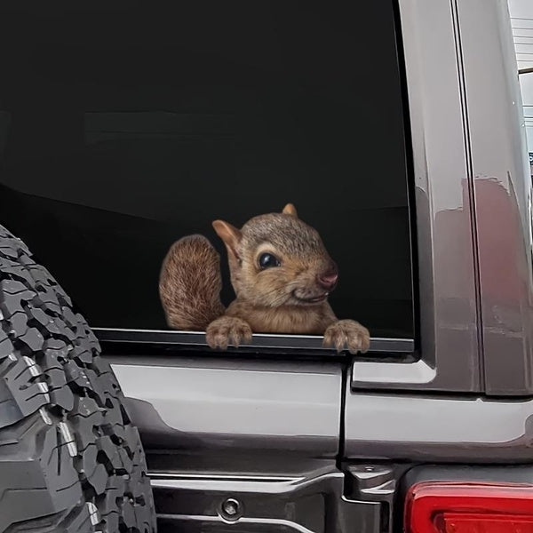 3D Squirrel Decal for Car Windows, Cute Squirrel Welcome Sticker Vinyl Cutout Funny Animal Decal for Squirrel Lovers, Decals for Trucks & Cars, Adhes