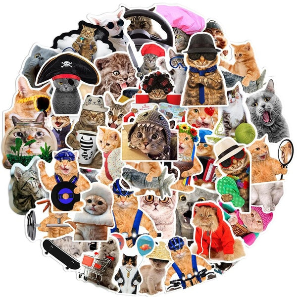 10-66pcs No Repeat Funny Cat Stickers MEME Cat graffiti Stickers for DIY Luggage Laptop Skateboard Motorcycle Bicycle Sticker
