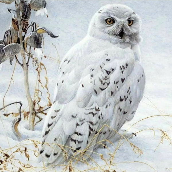 Animal Owl DIY 5D Diamond Painting Full Drill with Number Kits Home and Kitchen Fashion Crystal Rhinestone Cross Stitch Embroidery Paintings Canvas P