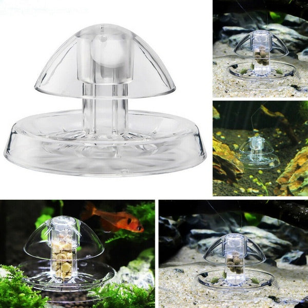 Aquarium Accessories Plastic Snail Trap Catcher Leech Planaria Pest Catch Box Aquarium Environment Clean for Aquarium Cleaning