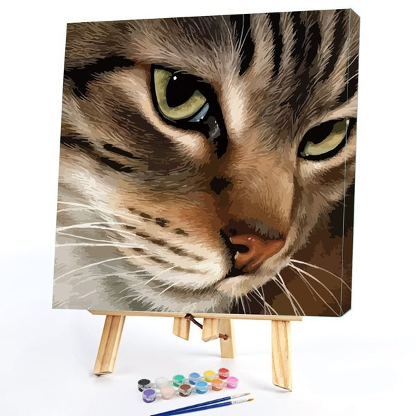 Cat FIYO Diy Paint by Numbers Kits for Adults and Kids Beginner on Canvas Fashion Oil Painting Wall Art for Gift( No Frame )