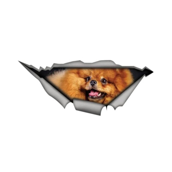 3D Pet Dog Pomeranian Animal Funny Vinyl Sticker Decal for Car Truck Window Bumper
