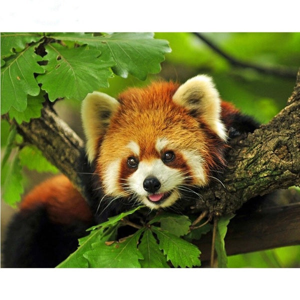 DIY 5D Diamond Painting Red Panda by Number Kits Painting Cross Stitch Full Drill Crystal Rhinestone Embroidery Pictures Arts Craft for Home Wall Dec