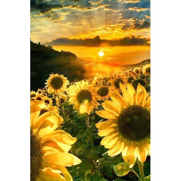 DIY 5D Diamond Painting Sunflower Full Drill with Number Kits Home and Kitchen Fashion Crystal Rhinestone Cross Stitch Embroidery Paintings Canvas Pi