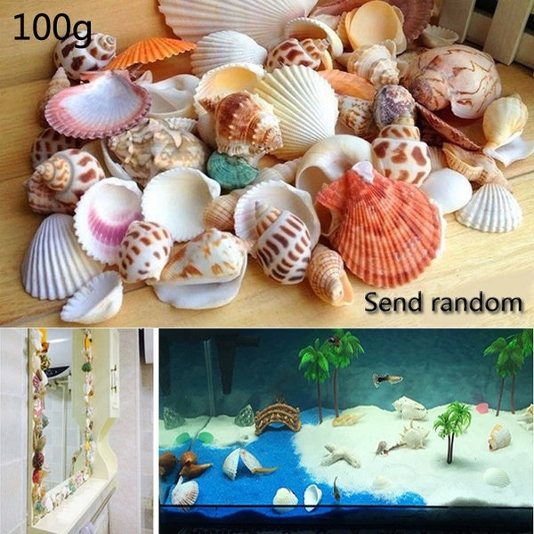 100g Mixed Ocean Sea coquillages Wedding Decor Beach Theme Party, Seashells Home Decorations, Fish Tank Decorations