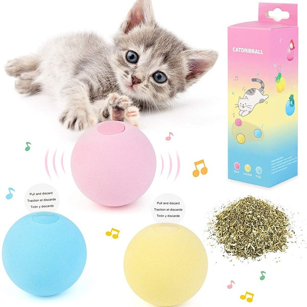 Cat Toy Ball - Interactive Cat Kicker Toys of Funny Lifelike Animal Chirping Sounds-Bird Frog and Cricket, Refillable Catnip Toys for Cats Kitten Pet