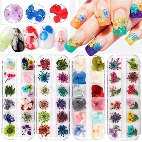 New 12 Grids Dry Flower(really Flower) Ornament Nail Art Flower 6 Style