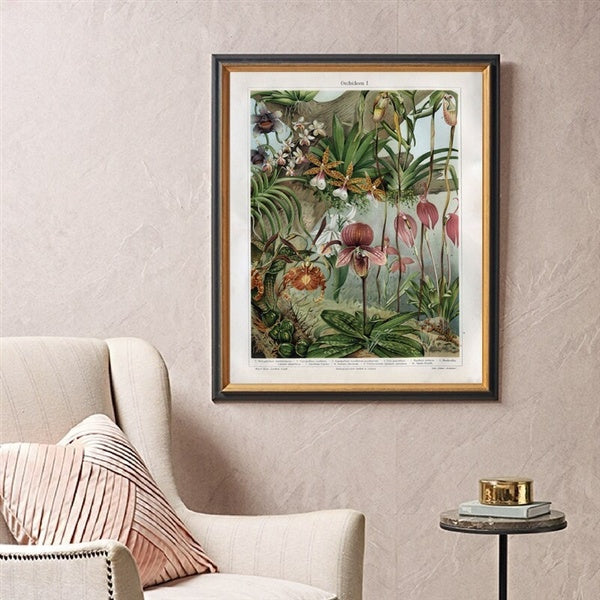 Orchids Late 1800s Botanical Poster Canvas Prints Snapdragon Antique Flowers Plants Wall Art Painting Living Room Decor No Frame
