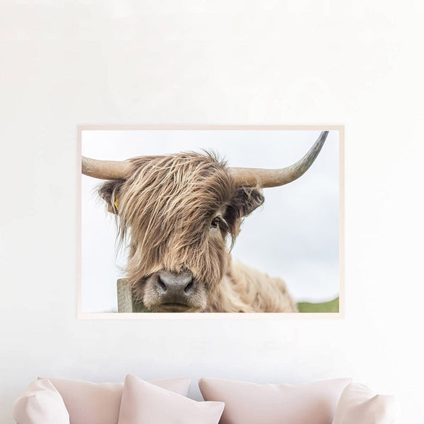 Highland Cow Wall Art Canvas Painting Animal Posters and Prints Nordic Decoration Wall Pictures for Living Room Home Decor