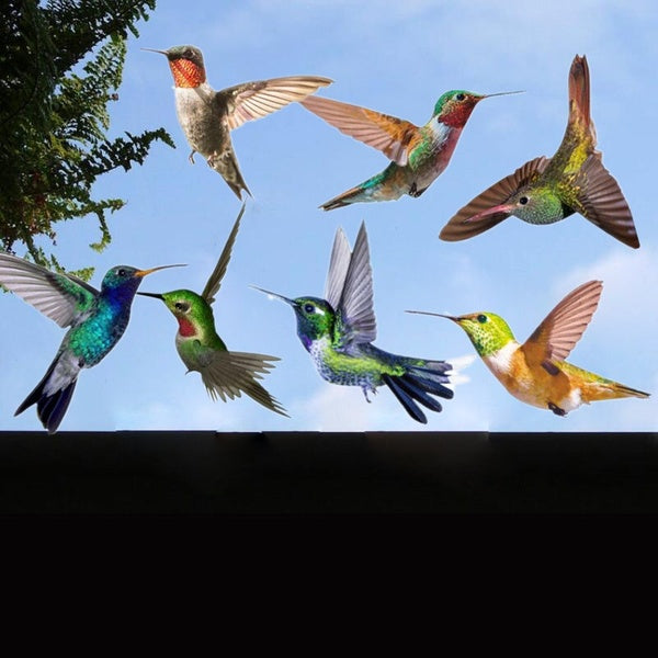 Hummingbird Removable PVC Wall Decals Window Clings