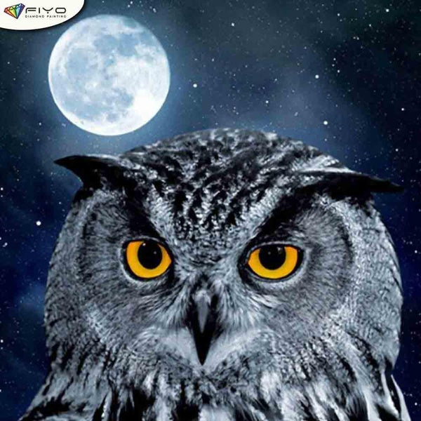FIYO Owl DIY 5D Diamond Painting Full Drill with Number Kits Home and Kitchen Fashion Cross Stitch Embroidery Paintings Canvas Pictures Wall Decorati