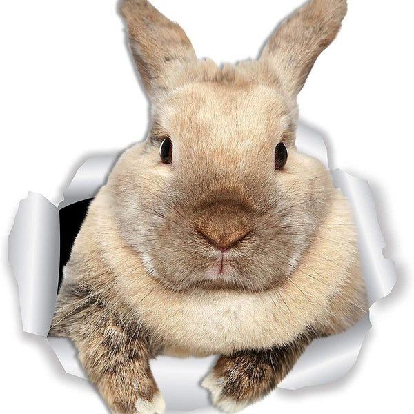 Rascally Rabbit Wall Decals - 2 Pack - Bunny Toilet Sticker - 3D Cat Car Window and Bumper Sticker Bunny Rabbit Gifts