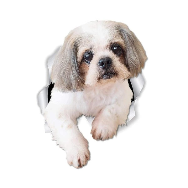Lovely Shih Tzu Dog 3D Funny Vinyl Sticker Decal for Car Truck Window Bumper
