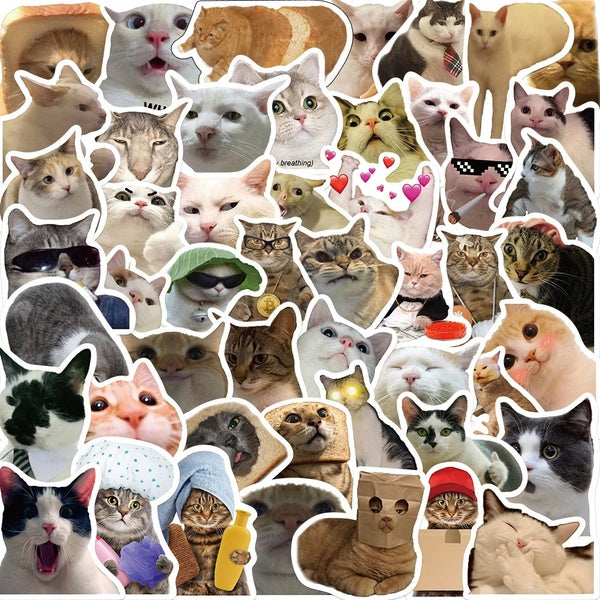 10-50Pcs Internet Celebrity Kitty Meme Sticker Funny Cat Meme Graffiti Stickers for DIY Luggage Laptop Skateboard Motorcycle Bicycle Stickers