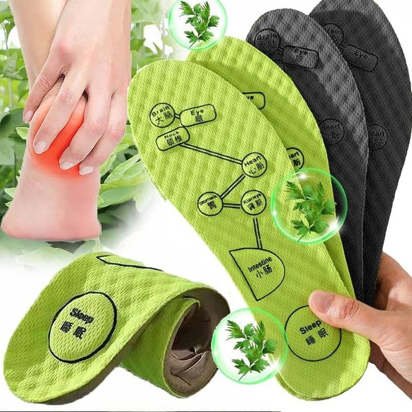 Semelles de massage des pieds pour femmes et hommes Wormwood Absorption de la sueur Déodorant Semelles de chaussures Semelles de soutien de la voûte