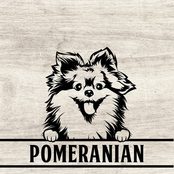 2Pack Pomeranian Dog Vinyl Sticker Decal