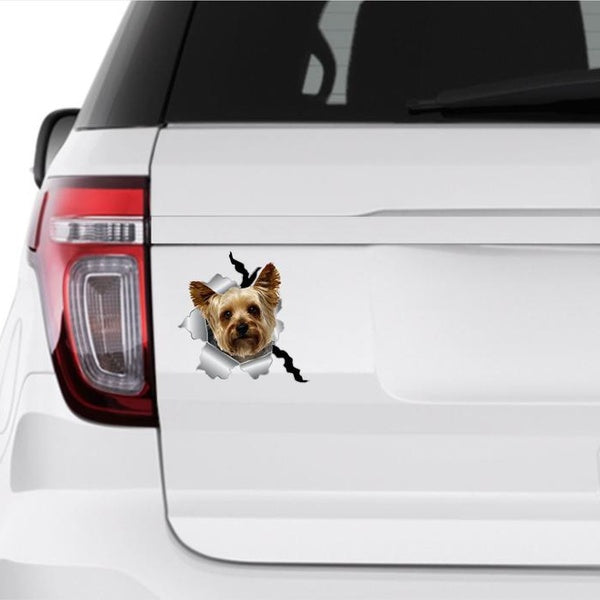 3D yorkshire terrier Sticker Funny Dog Car Truck Window Bumper Vinyl Decal