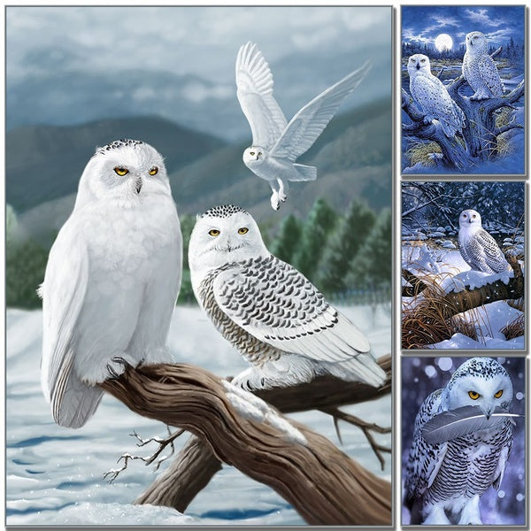 Owl DIY 5D Diamond Painting Full Round Full Drill with Number Kits Home and Kitchen Fashion Crystal Rhinestone Cross Stitch Embroidery Paintings Canv