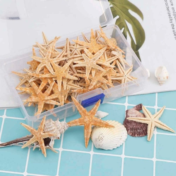 Petite étoile de mer plage artisanat Mini étoiles de mer naturelles artisanat décoration bricolage accessoires faits à la main