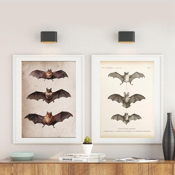 Vintage Bat Art Print Wall Decor Bats Primitive Style Grunge Steampunk Style Home Decoration Canvas Painting Antique Posters No Frame