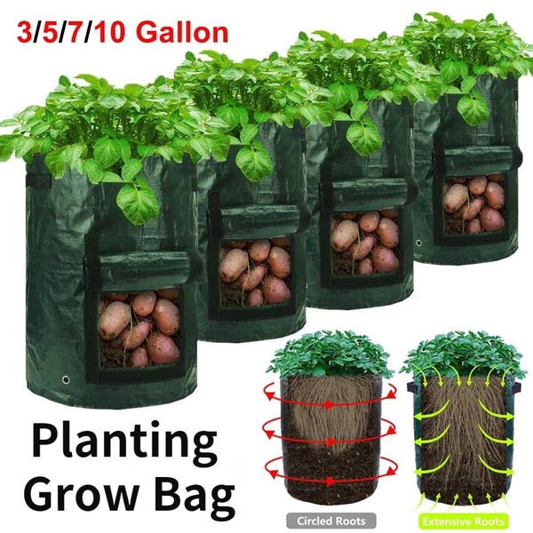 3-5-7-10 Gallon Garden Potato Grow Bag PE Fabrics Gardening Thicken Pot Vegetables Planter Tub Plant Growing Bags with Handles and Access Flap