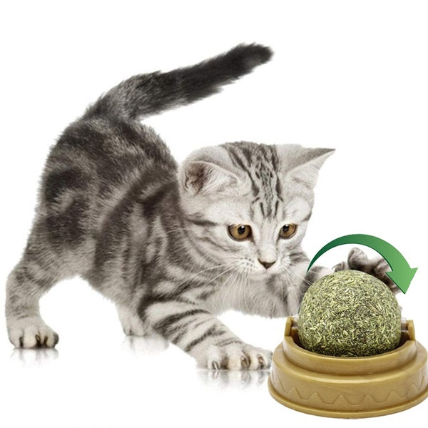 Catnip Ball for Cat Toys with Catnip Cat Ball Toy Funny Kitten Catnip Toy