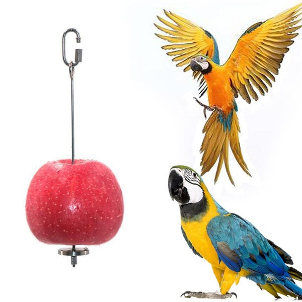 Parrot Bird Cage Accessories Stainless Steel Fruit Fork Pet Bird Accessories Parrot Pet Bird Supplies Gift for Your Pet