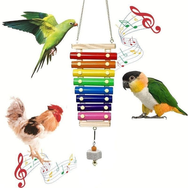Xylophone coloré pour oiseaux, jouets de poulet, Cage à oiseaux, accessoires de jouets, jouets interactifs pour perruches et perroquets, soulagement