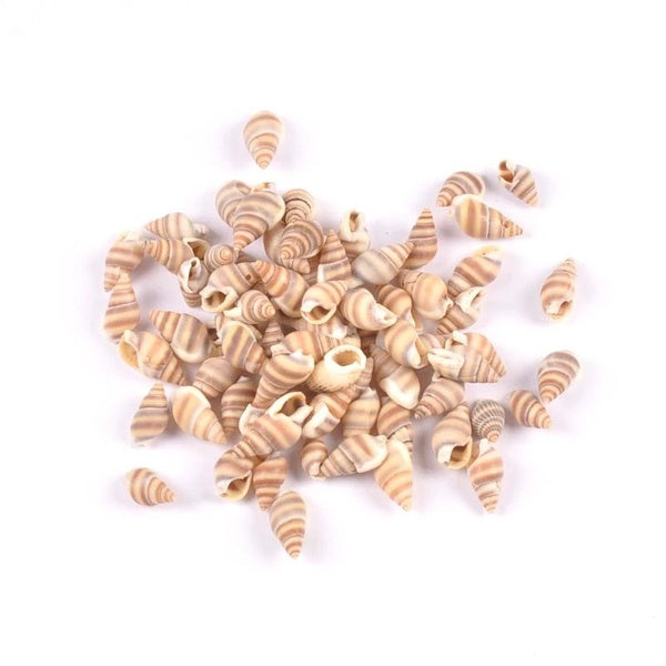 50pcs coquilles en spirale naturelles perles de conque pour la fabrication de bijoux bricolage artisanat décor à la maison aquarium coquillages plage