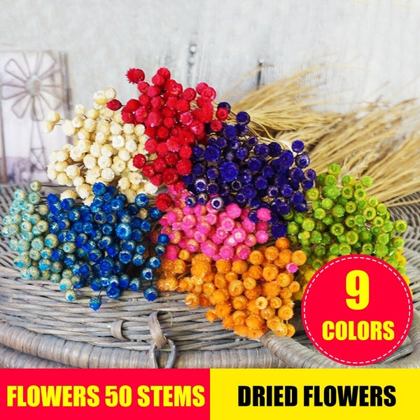 Flowers 50 Stems Dried Flowers for Arrangements Bundle Home Decor Photo Props Handmade Air-drying