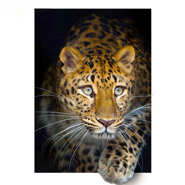 Leopard, Cat and Tiger out of the picture frame DIY 5D Diamond Painting Full Drill with Number Kits Home and Kitchen Fashion Crystal Rhinestone Cross