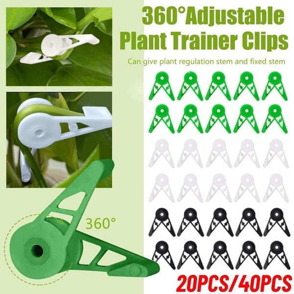 20pcs - 40pcs Clips de formation de tige de plante à 360 degrés, Clips de formation de plante réglables, Clips de cintrage de branches de plante régl
