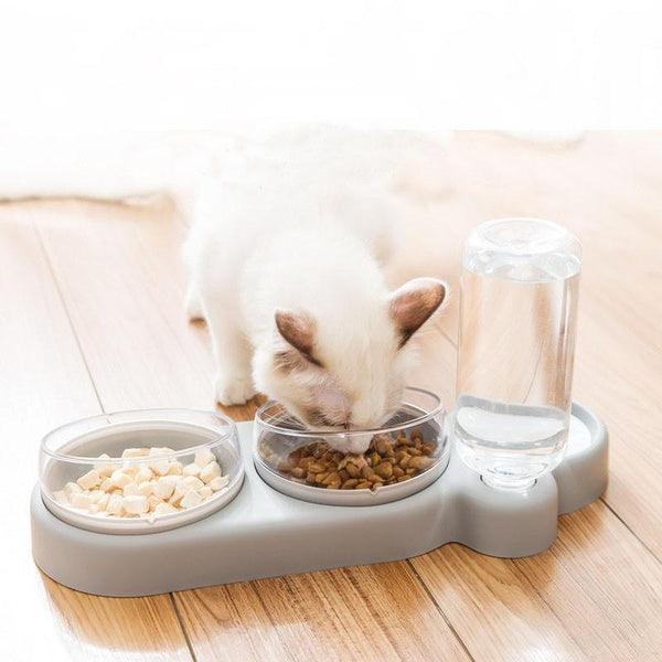 Cat Bowls Double Bowls With Auto Water Dispenser Dog Cat Food Bowl Drinking Raised Stand Dish Bowl