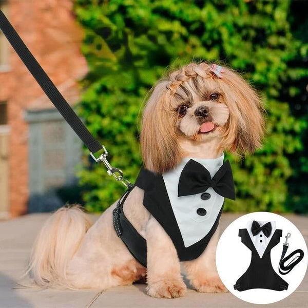 Dog Vest Tuxedo Harness With Leash Set, Adjustable Dog Harness No Pull For Small Medium Dogs, Dog Wedding Attire Harness, Comfort Padded Tuxedo Pet W