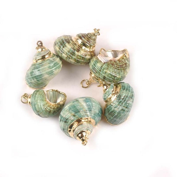 20-30mm 5 pcs Naturel Plaqué Or Nautique Vert Spirale Shell Pour DIY Bijoux À La Main Charmes Pendentif Coquillage Home Decor TRS0300