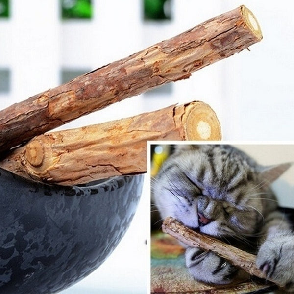 Cat Cleaning Teeth Pure Natural Catnip Pet Cat Molar Toothpaste Stick 2 Pcs-bag Fruit Cat Snacks Sticks