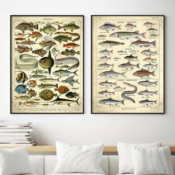 Freshwater Fish Vintage Poster Saltwater Fish Art Print Biology Decoration Canvas Painting Pictures Home Office Wall Decoration No Frame