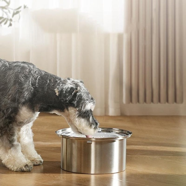 Dog Water Bowl 304 Stainless Steel Dog Bowl No Spill Large Capacity Dog Food Water Feeder Dispenser Vehicle Carried Travel Bowl