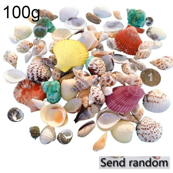 100G Colorful Natural Seashells Decorations Scallop Shells Crafts Decor Ornament Colorful Shells Sea Star Fish Conh Fish Tank Decorations