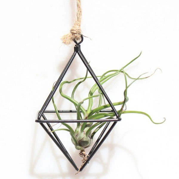 Fashion Freestanding Hanging Planters Geometric Swing Wrought Iron Tillandsia Air Plants Holder Triangular Shaped Metal Rack