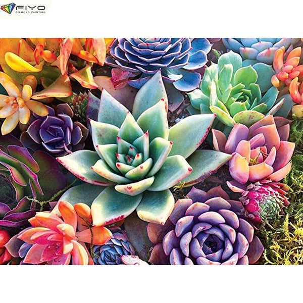 Succulent DIY 5D Diamond Painting Full Drill with Number Kits Home and Kitchen Fashion Cross Stitch Embroidery Paintings Canvas Pictures Wall Decorat