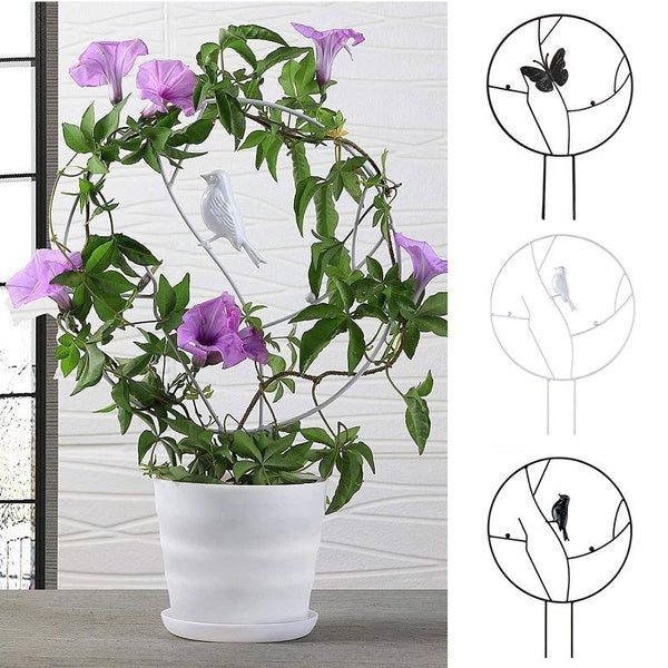 Trellis For Potted Flower Plants Metal Multipurpose Plant Trellis For Climbing Vines And Flowers Stands