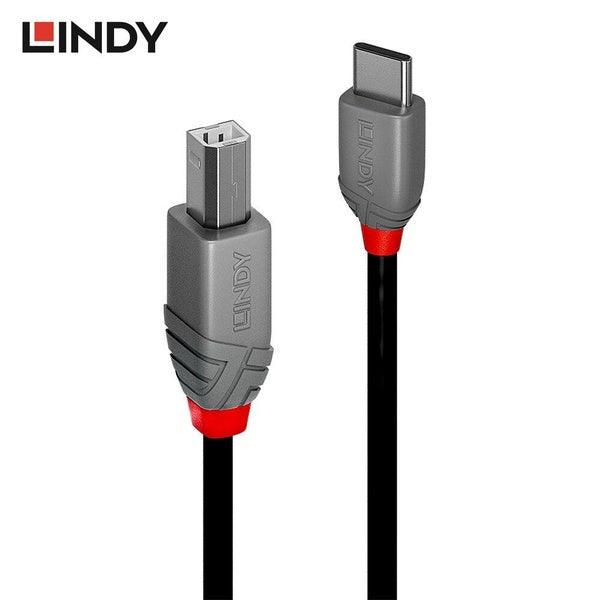 LINDY USB C vers USB B 2.0 câble d'imprimante Scanner adaptateur d'orgue électronique câble de Type C vers B pour ordinateur portable MacBook cordon
