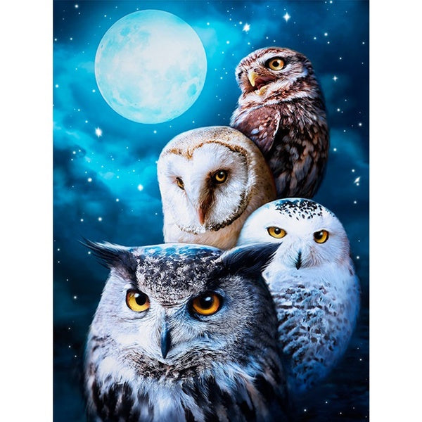 Animal Cute Owl DIY 5D Diamond Painting by Number Kits Painting Cross Stitch Full Drill Crystal Rhinestone Embroidery Pictures Arts Craft for Home Wa